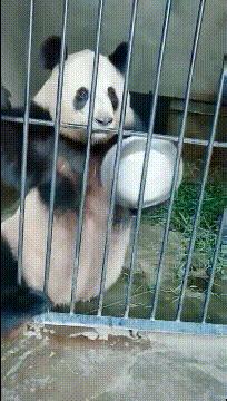 女代驾花了1800多,叫了个女代驾花了1800元