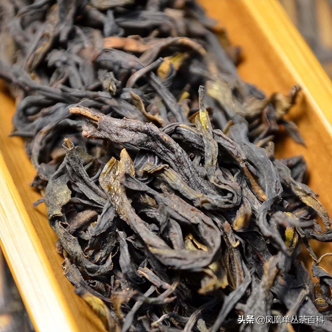 单丛乌岽稻花香,稻花香单丛