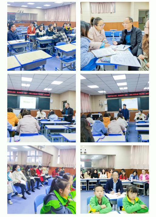 双减政策下如何开展小学科学教学,双减政策下的小学科学课堂