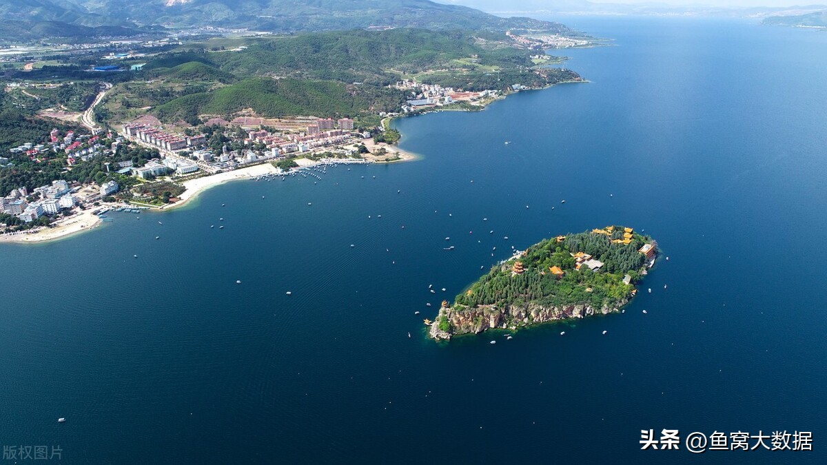 革胡子鲶销声匿迹,革胡子鲶性成熟几年