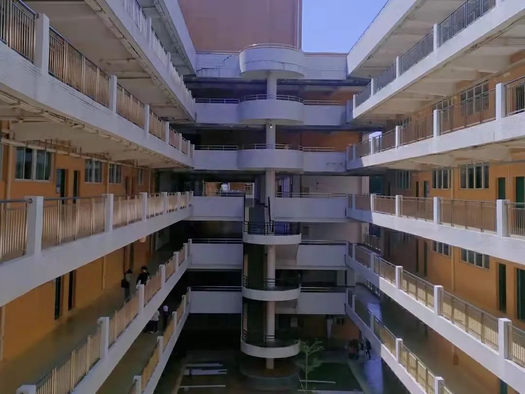 心动警报采访,心动预警作品