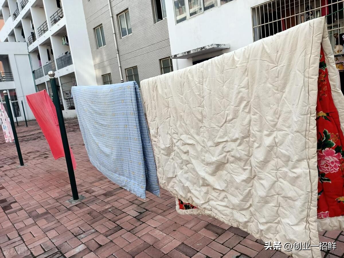 自己开了个门窗加工小作坊,门窗制作加工创业