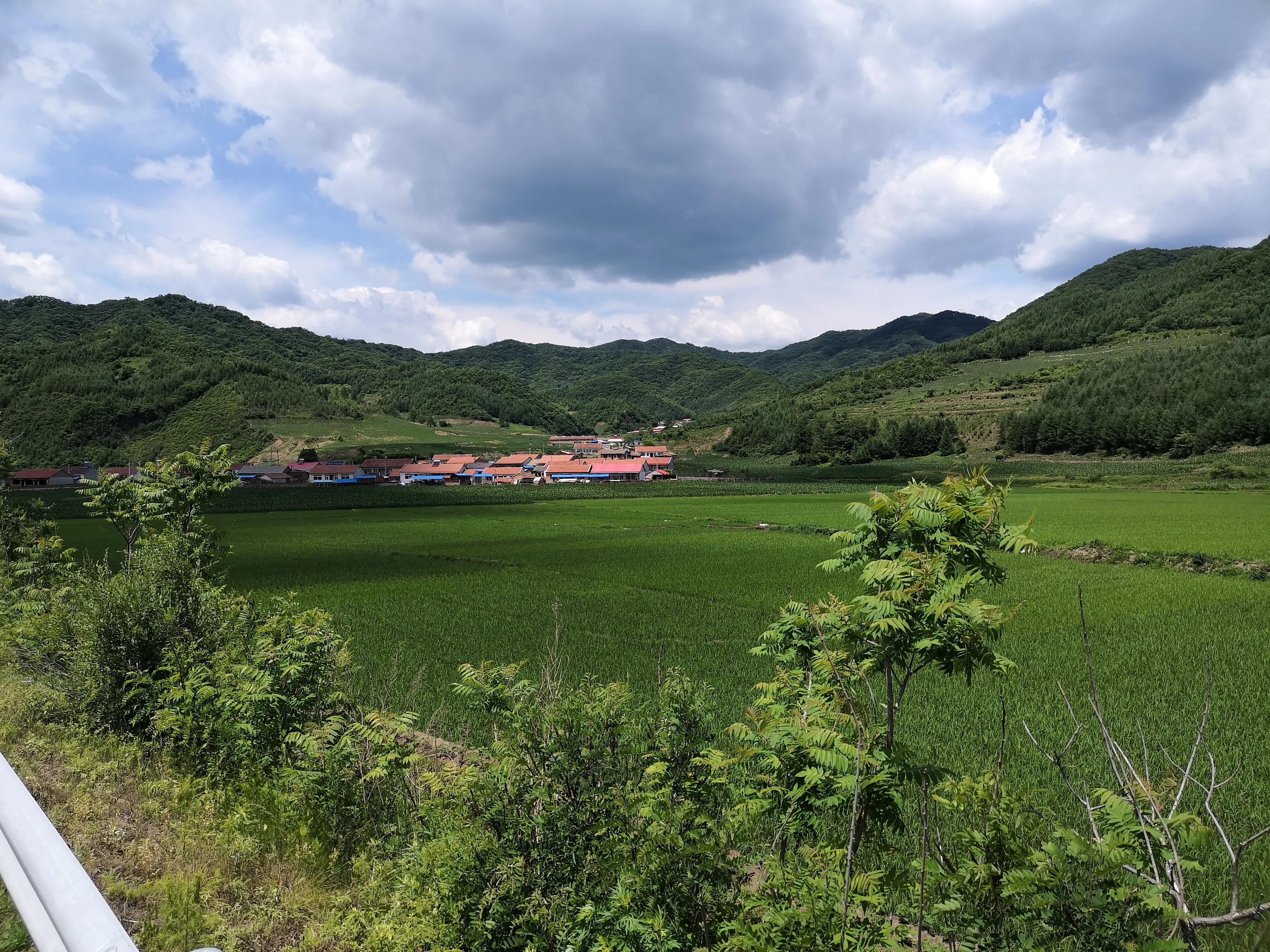 十五年童年,童年1955