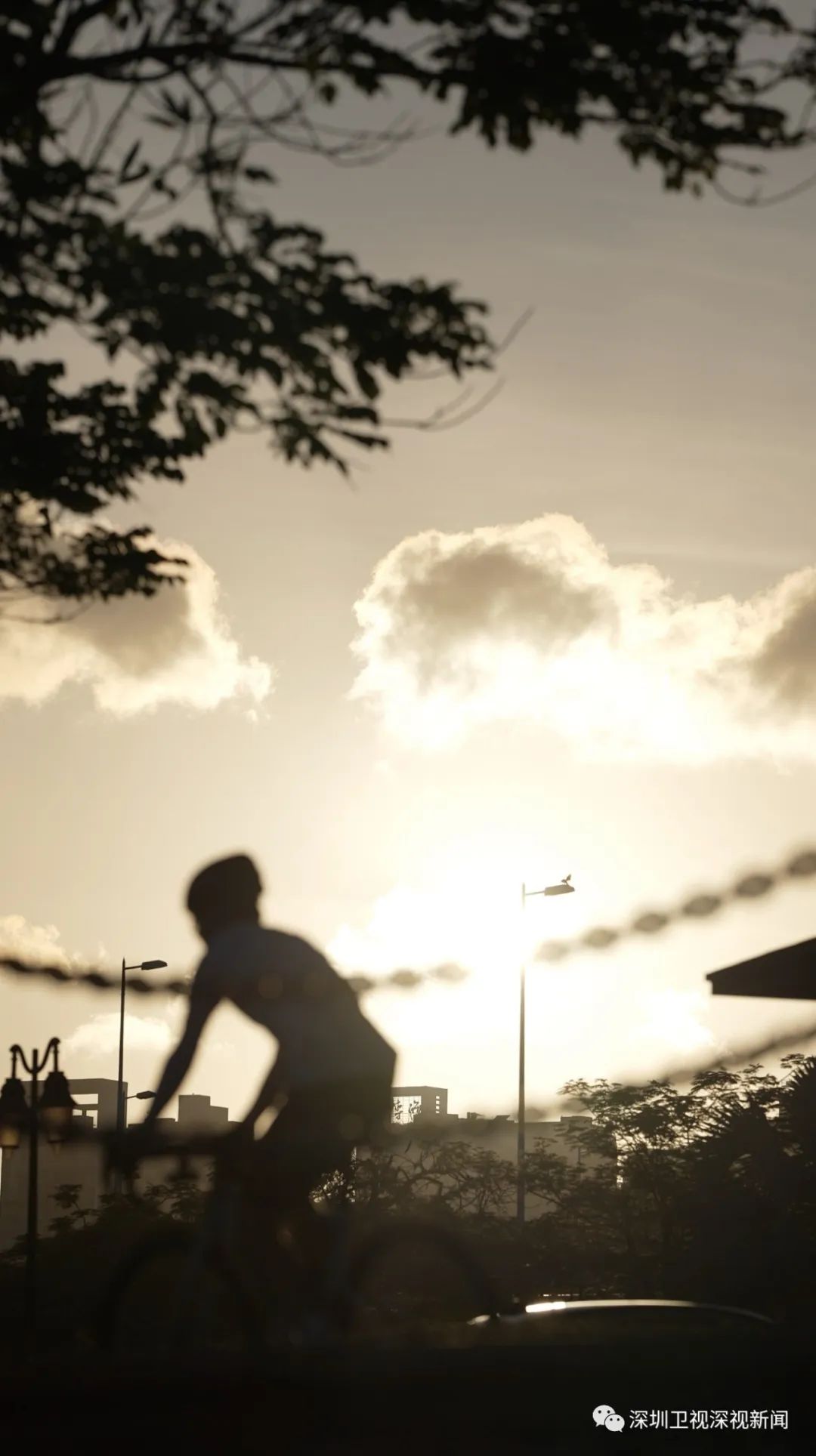 @深圳人，夏日晚霞图鉴请签收！