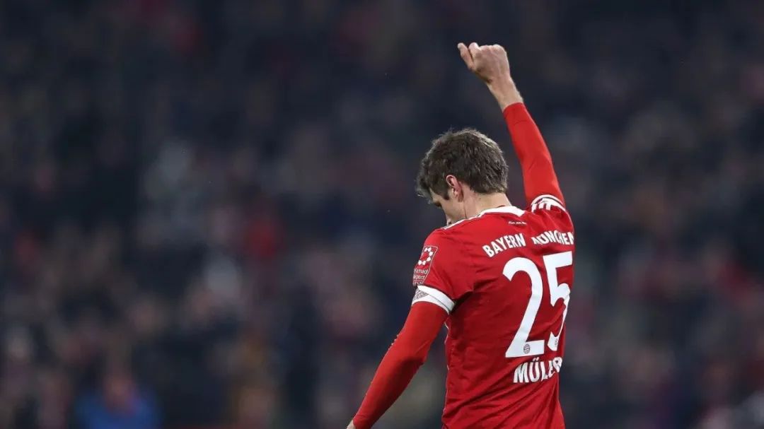 洋洋看球大作战,洋洋聊足球比赛