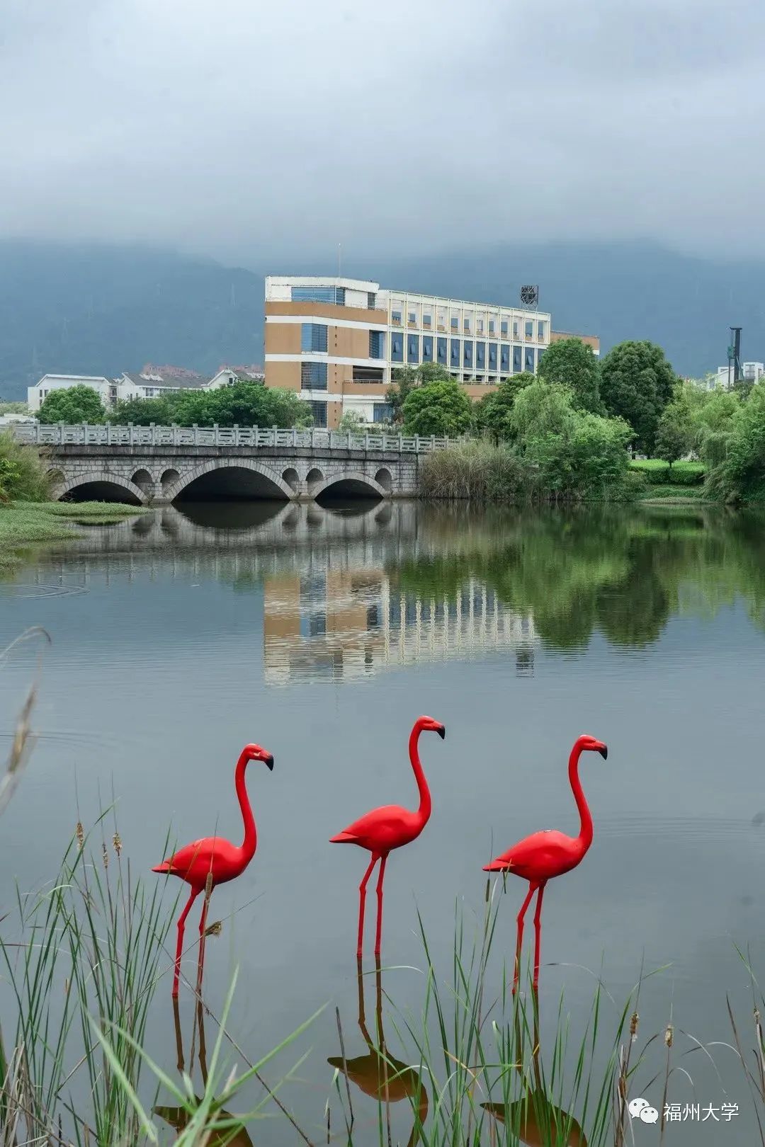 福州大学研究生2024招生目录,福州大学硕士研究生招生简章2024