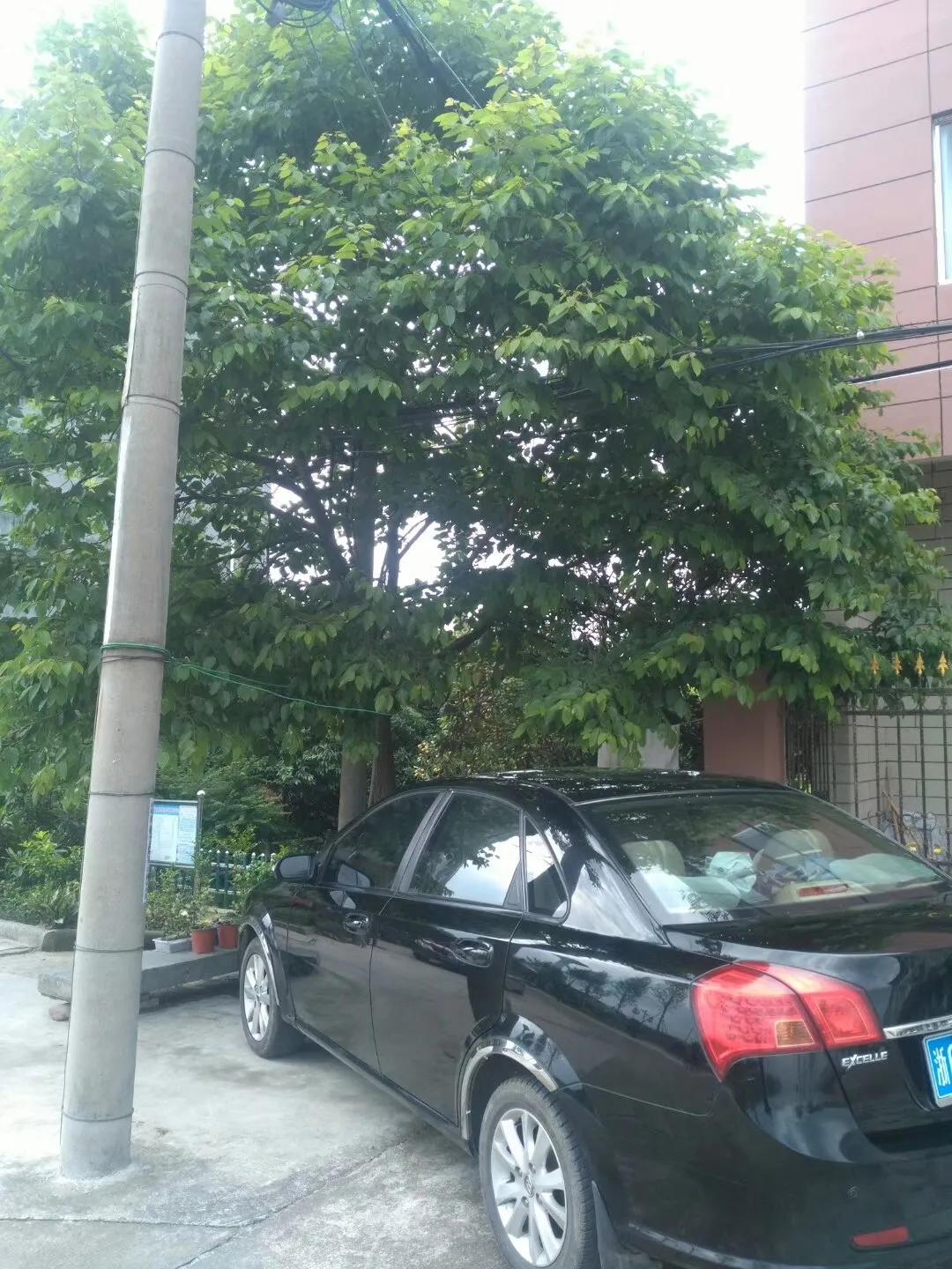 09年的别克凯越还能入手吗,09年别克凯越还可以开几年