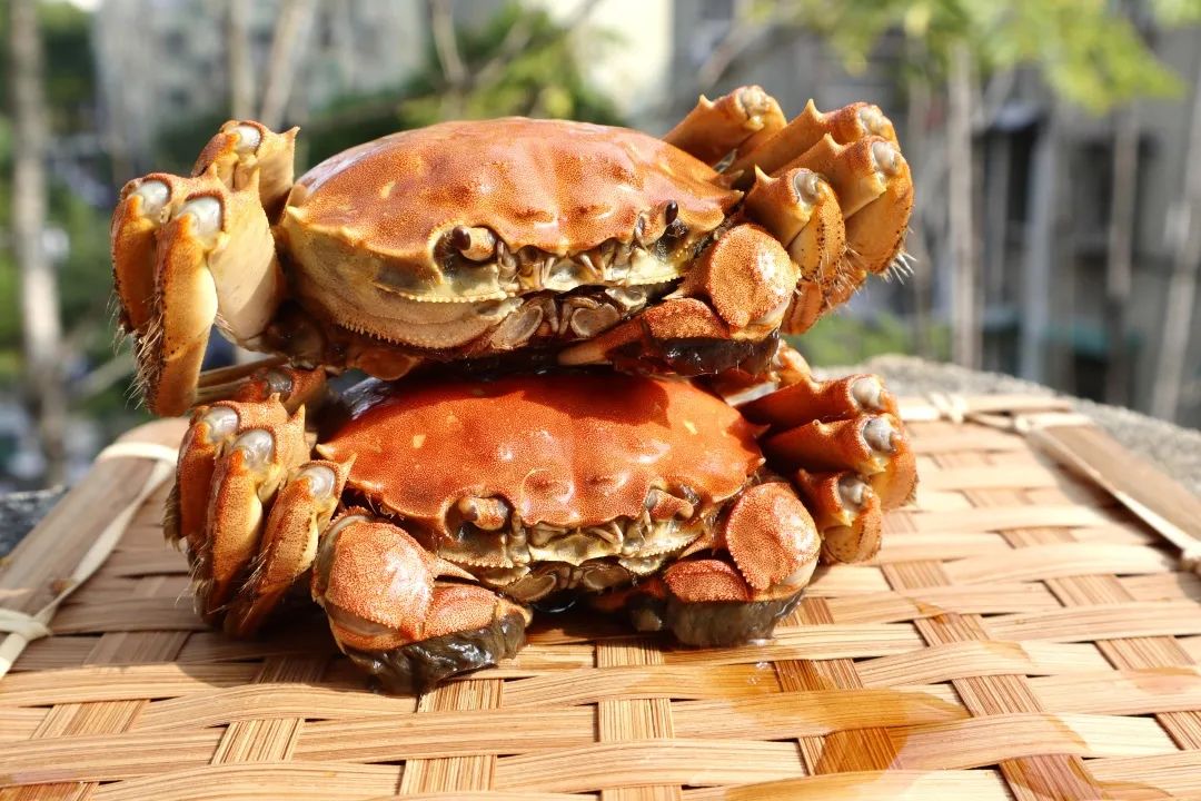 盒马的提拉米苏好吃吗,最近的盒马鲜生店