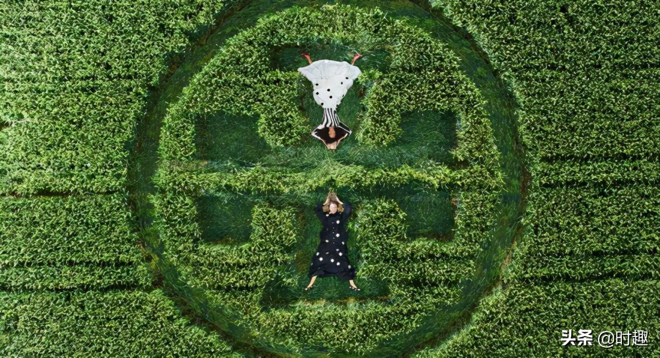 toryburch品牌旗舰店经典款,toryburch轻奢品牌定价最高