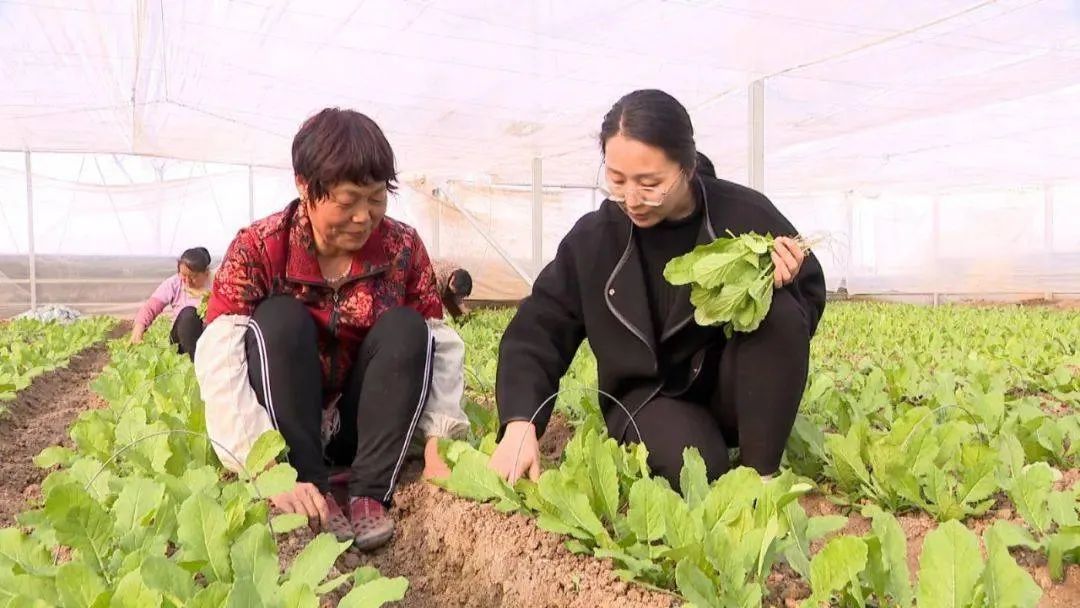 我的创业故事纪录片,我的奋斗故事乡村振兴