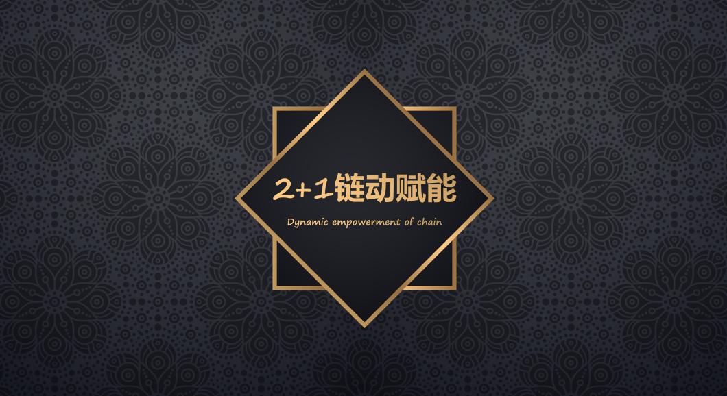 链动2+1电商模式；颠覆传统电商、实现引流变现模式