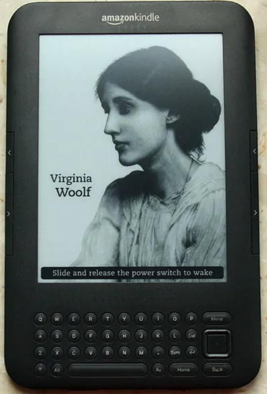 ipad自带的看书功能能看什么书 (ipad有哪些适合看书的阅读器)