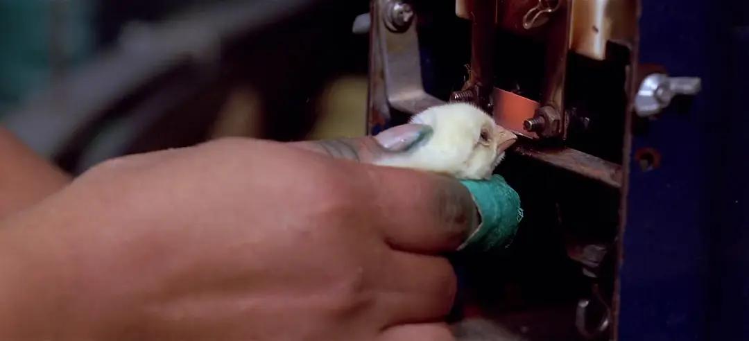 如果人类可以随意穿梭太空,如果人类进入外太空会怎么样