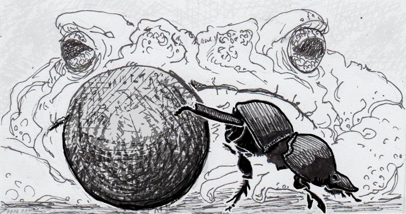 屎壳郎也得向我国进口！2019年，澳洲每进口1500只，就要2500元