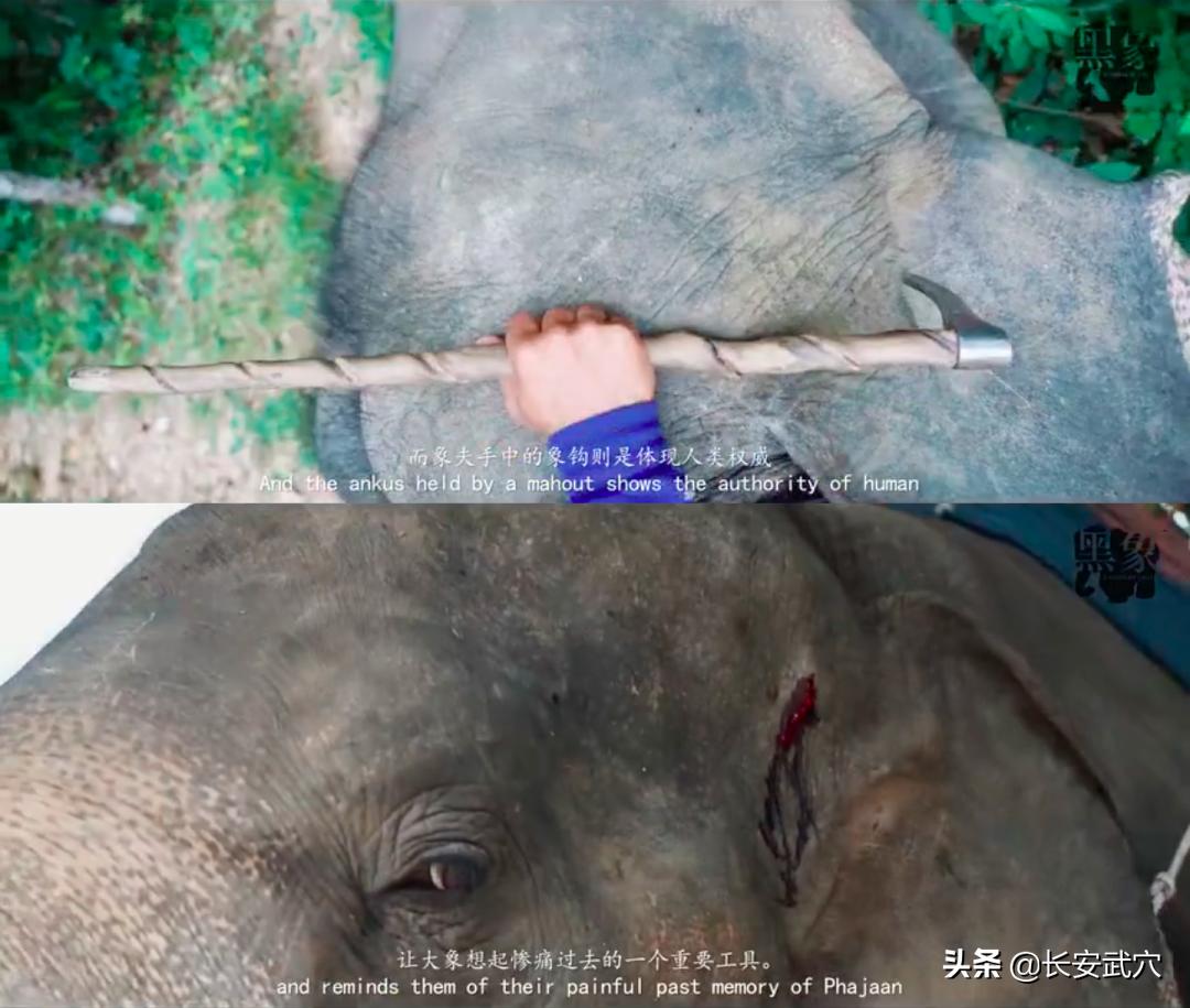 全网最近大事件,最大丑闻案件