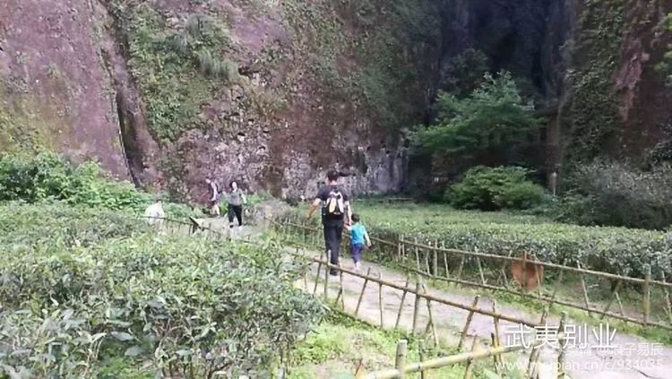 武夷山自然遗产有哪些,武夷山有哪些古迹