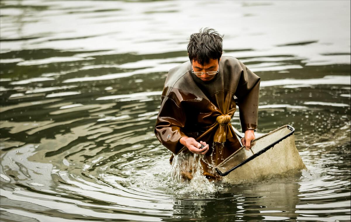 一天能捞100多斤!中国多地出现“捞虫族”,暴利下风险有多大?