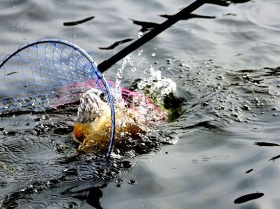 失手绳要注意事项,如何使用失手绳