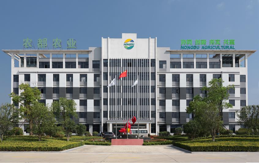 中国小龙虾之乡潢川,信阳潢川小龙虾农村