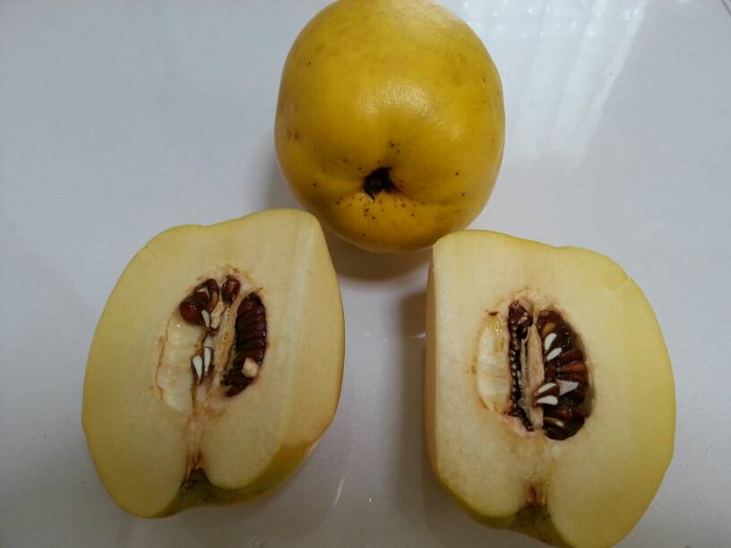 烂了的食物吃了对人体的危害,烂了的食物能吃吗