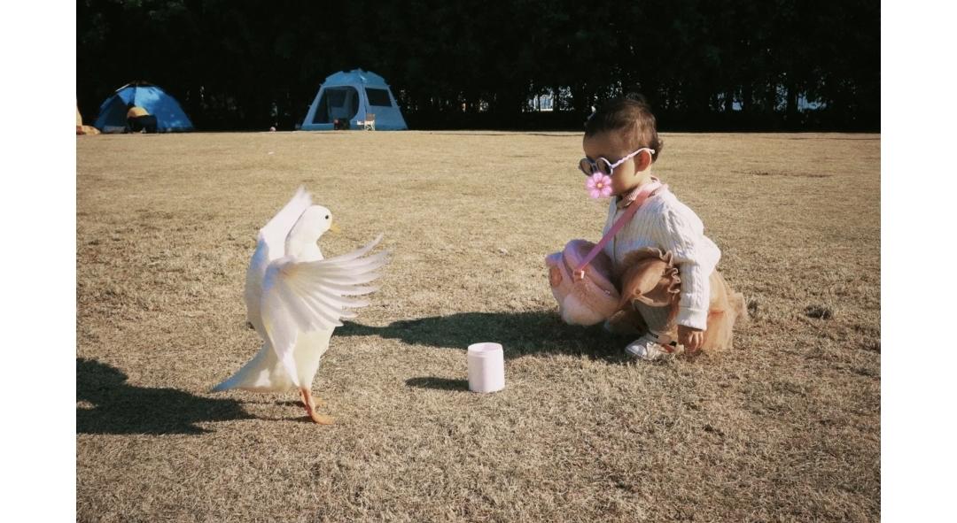 张馨月晒小公主照片,张馨月晒海边游玩照