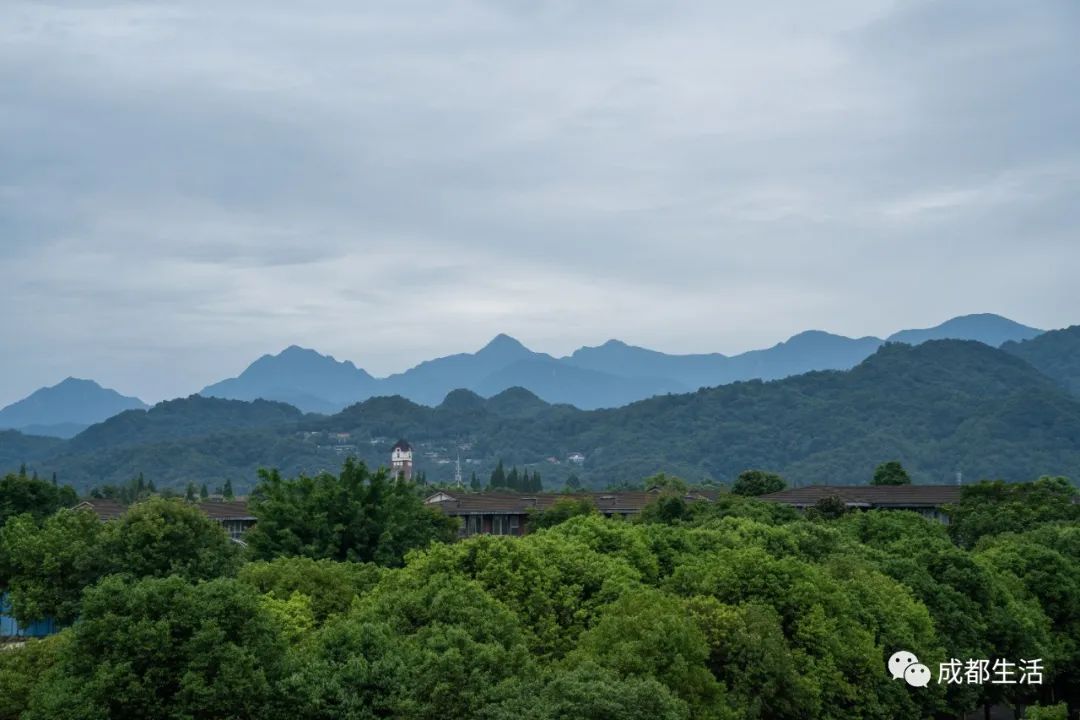 最详细成都旅游攻略,三天成都旅游全攻略