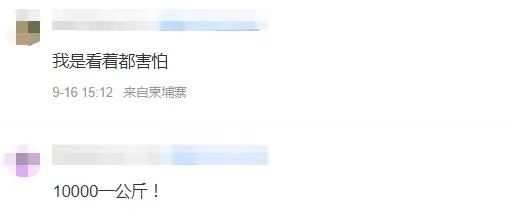 柬埔寨卖肉,柬埔寨路边摊