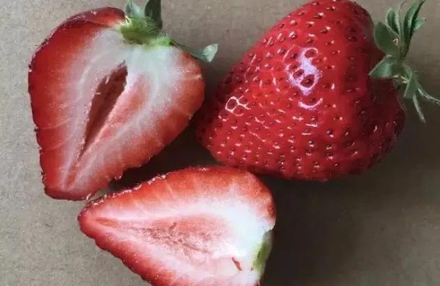 草莓家族有哪些成员,草莓家族成员在哪里