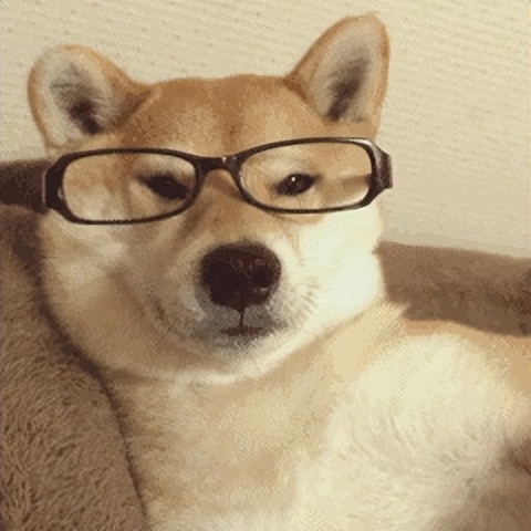 英文参考文献不够怎么办,英文参考文献如何搞定