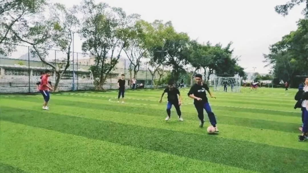 全国青少年校园足球联赛2024校园,全国青少年校园足球联赛东南赛区