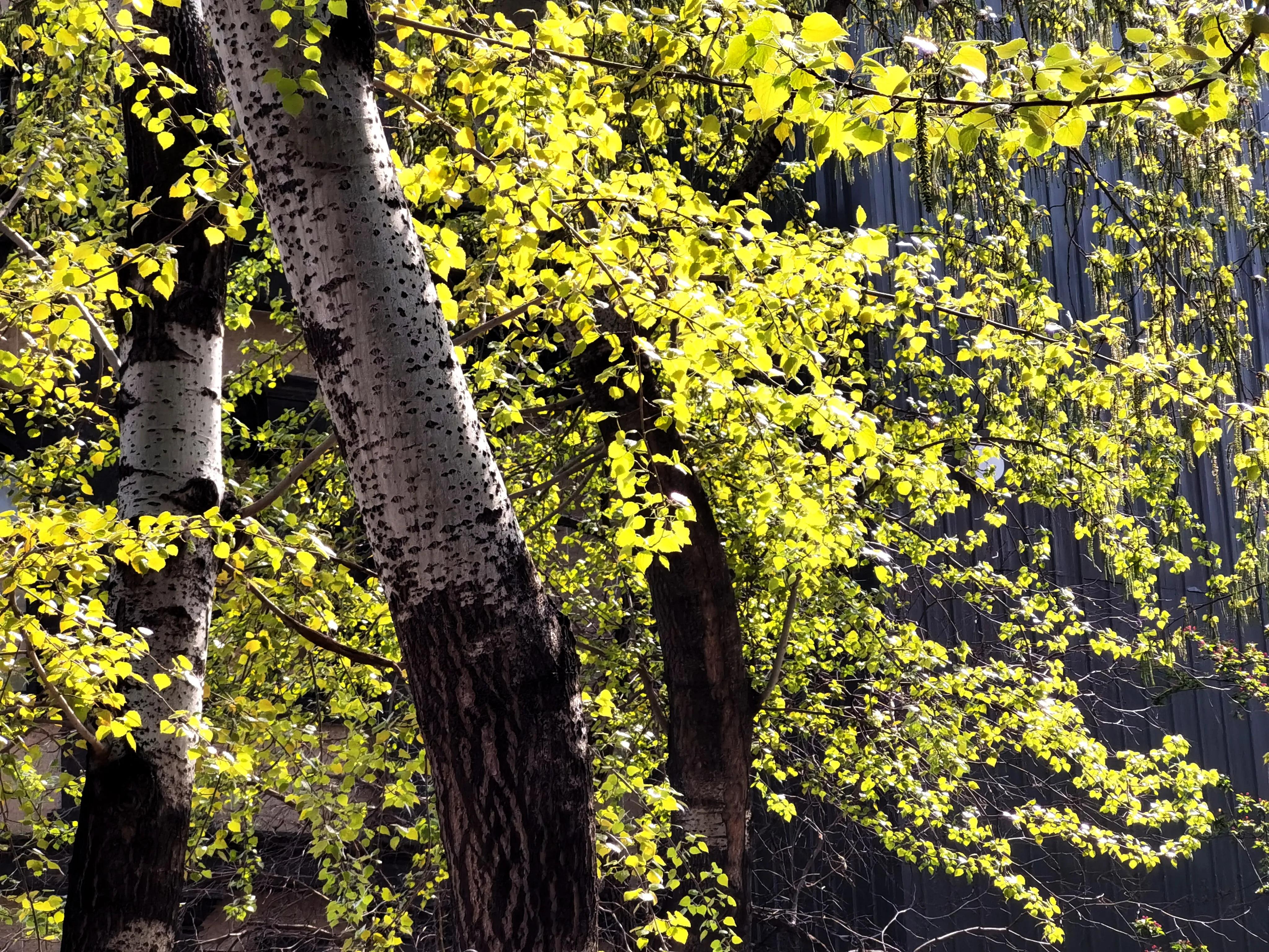 疫情期能否到医院检查肠镜,疫情期间做肠镜检查怎么办