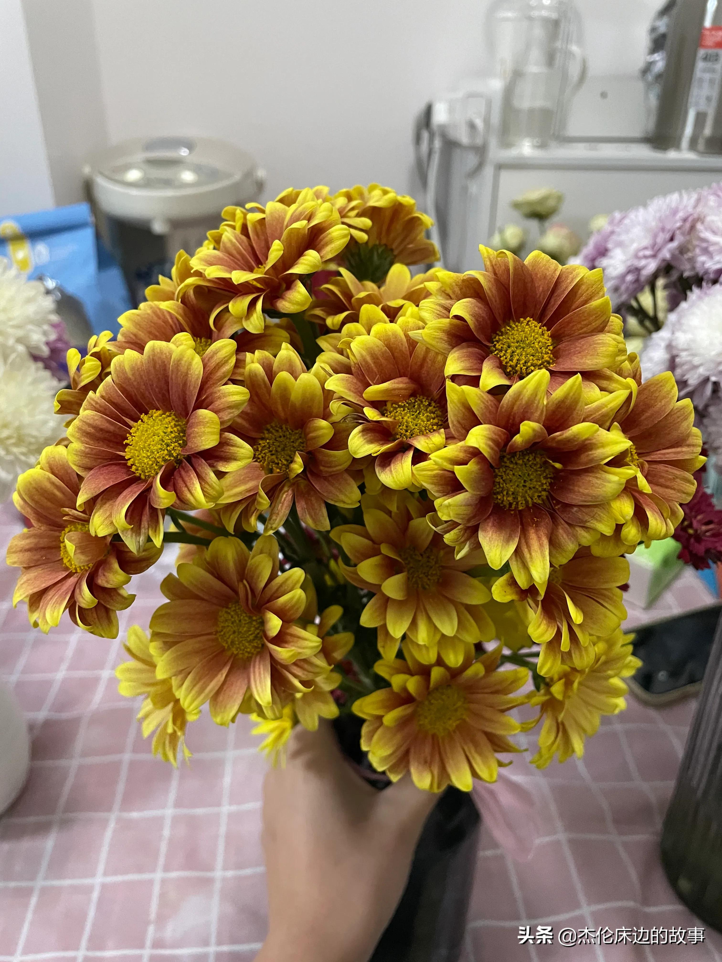 网上鲜切花怎么养护,最耐养的鲜切花