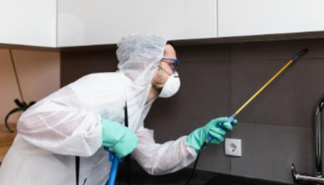 家里蟑螂太多怎么才能根除蟑螂,家里有蟑螂怎样能彻底消灭小技巧