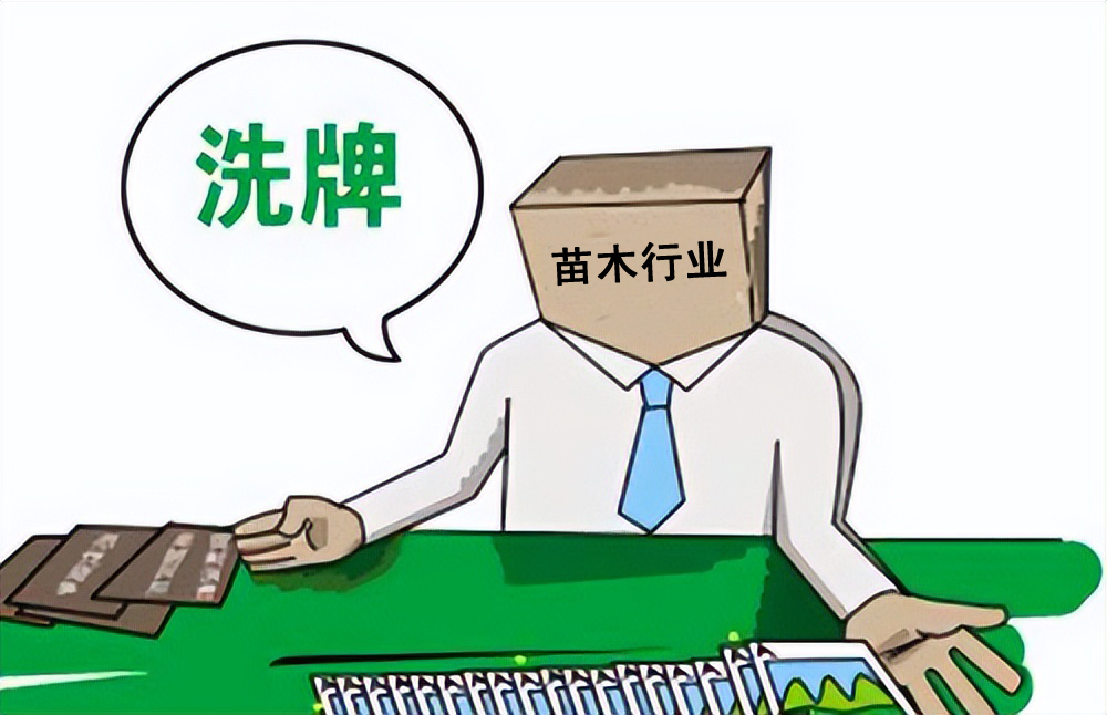 50亩山地种什么经济效益好,山东适合种的水果树种植