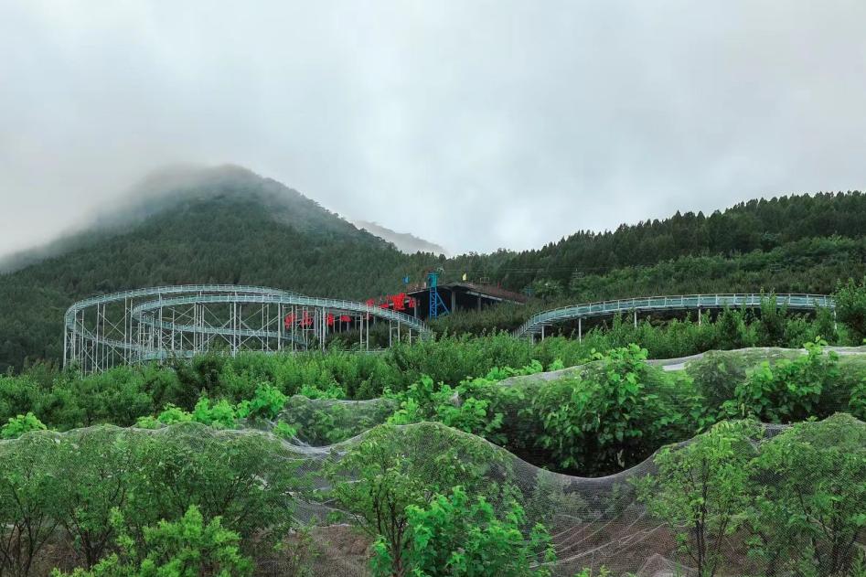 逛吃逛吃歌曲,逛吃逛吃