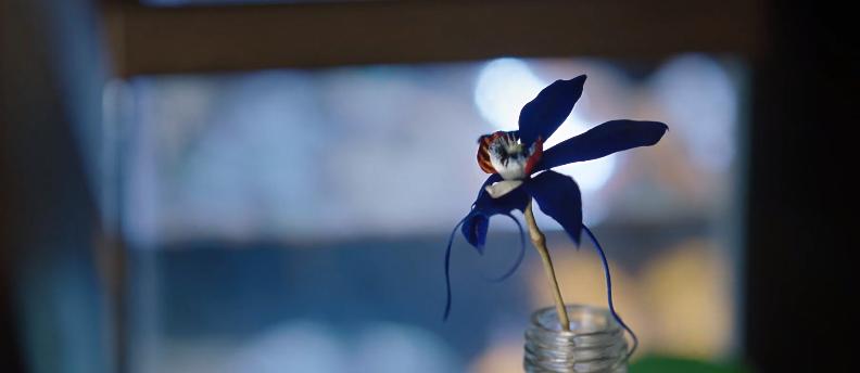 顶级配置拍女版《寄生虫》？欲望冲出屏幕，人性丑恶獠牙藏不住了