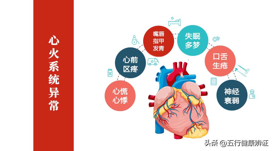 肺为肾之母中医解析,肺为五脏之阳脾为五脾之阴