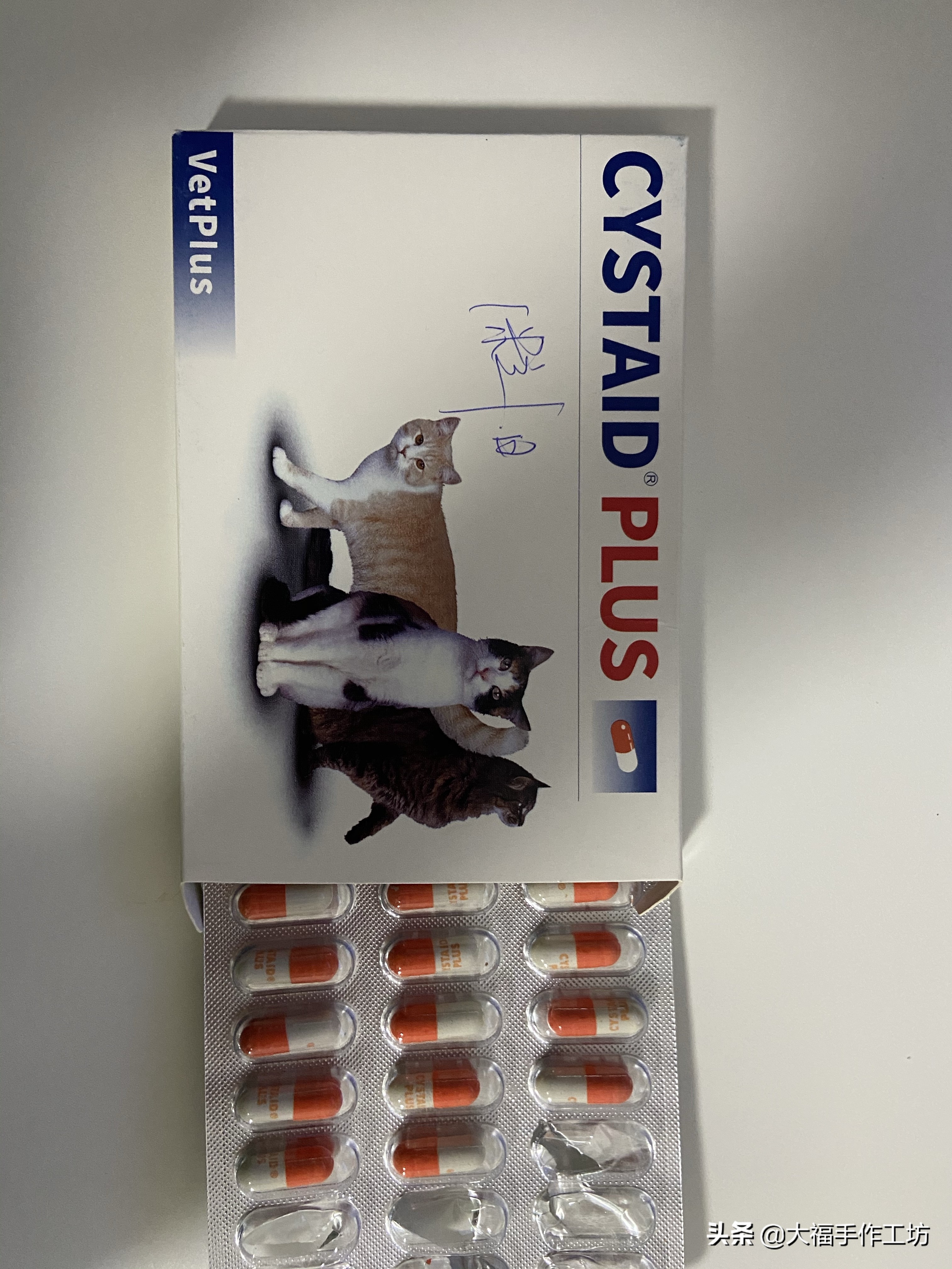 猫咪膀胱有结晶导致膀胱炎,猫膀胱结晶手术多少钱