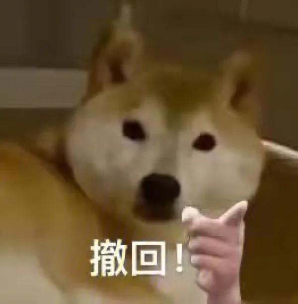 手摸柴犬下巴表情包,柴犬双手合一表情包