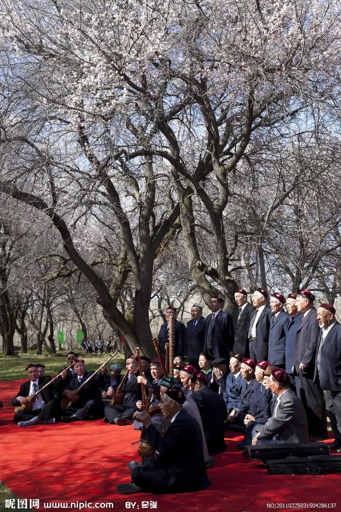 石榴籽是代表56个民族团结吗,五十六个民族要像石榴一样团结