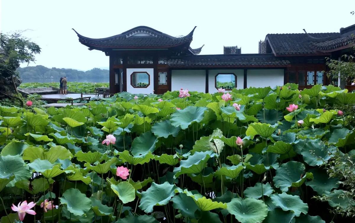 西湖名胜风景区景点图,1995年杭州西湖风景