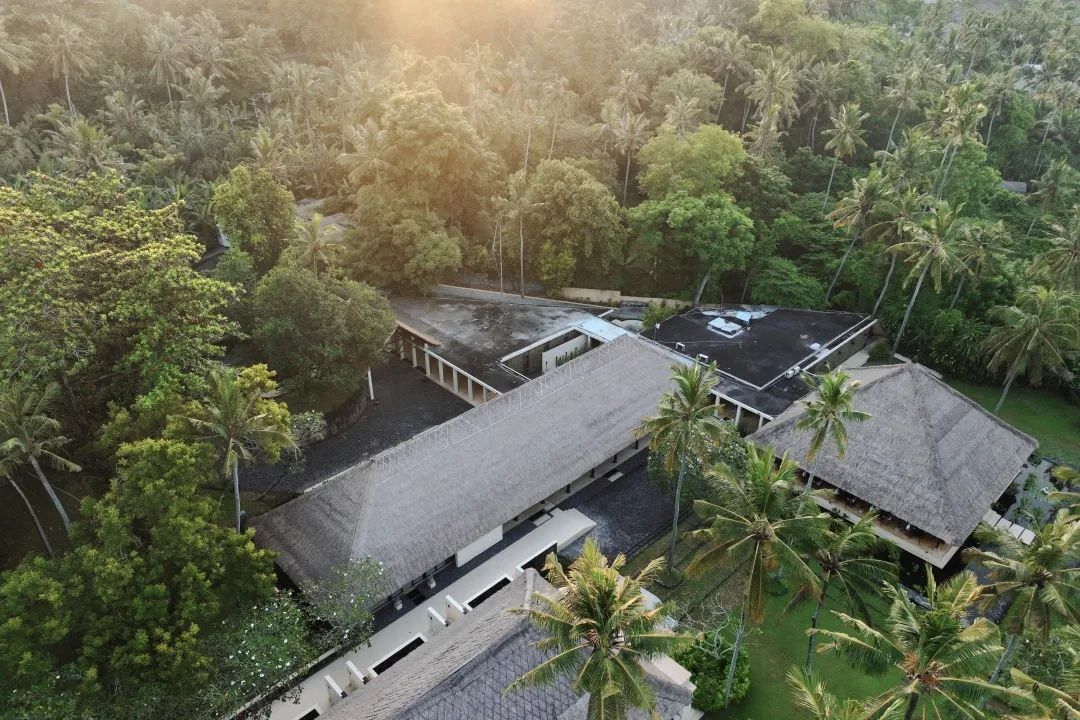 这可能是全球性价比最高的一家阿丽拉