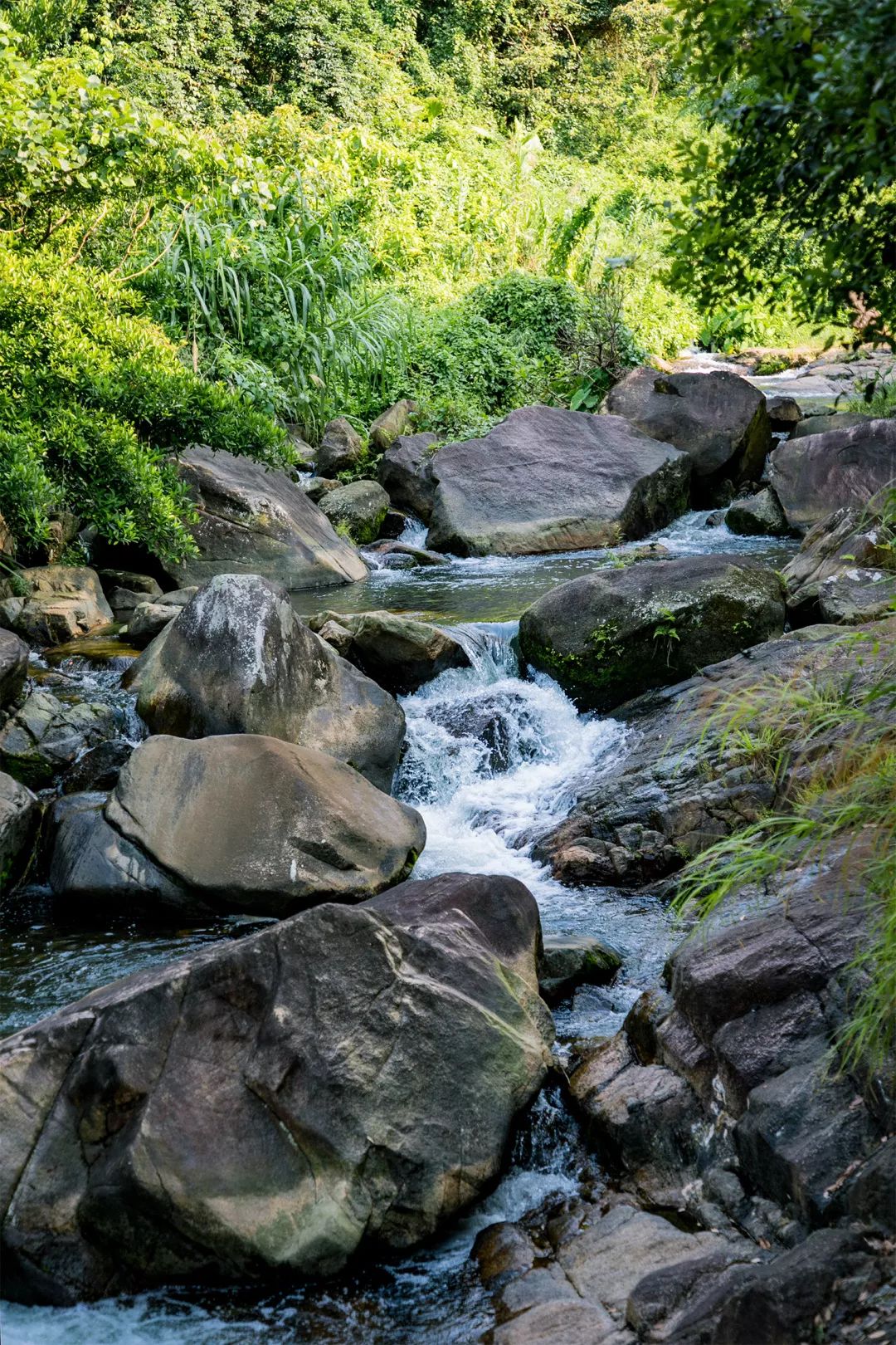 深圳瀑布在哪里,深圳有瀑布的地方有哪些
