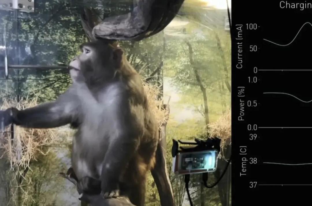 瑞士瘫痪男子,马斯克人脑接口芯片