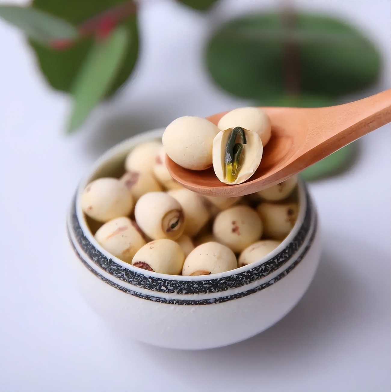 适合于不同季节的安神助眠的茶,让人平心静气助睡眠的茶