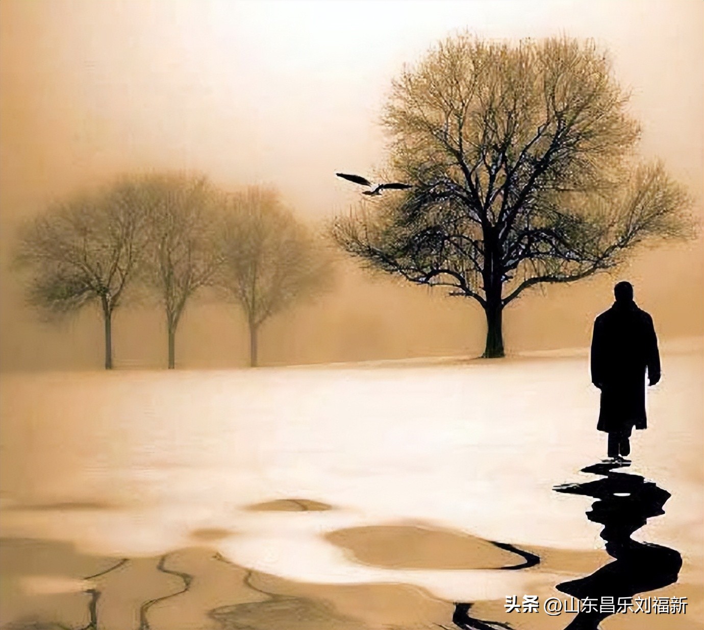 就发几段互不相关的话吧