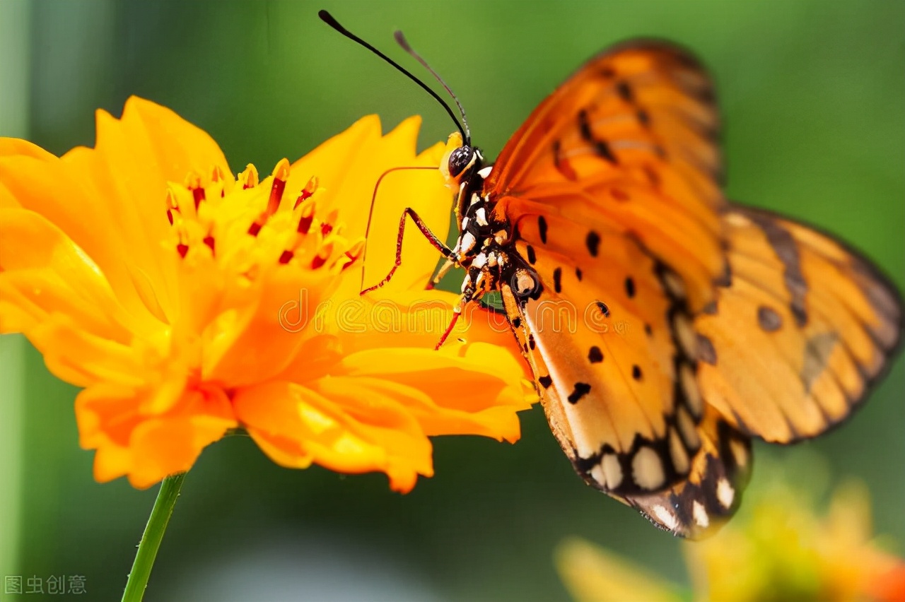 读了书才知道的事,读了书才明白的道理