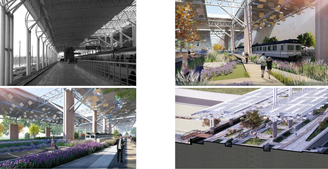 中国黄海湿地博物馆设计平面图,黄海湿地博物馆室外展区名称