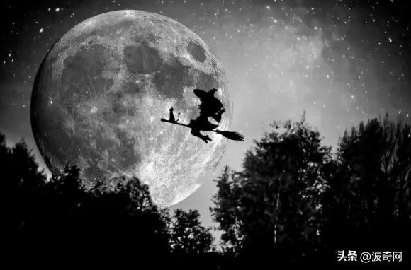 他们收养黑猫后，半年中了百万英镑？谁再说黑猫不吉利！