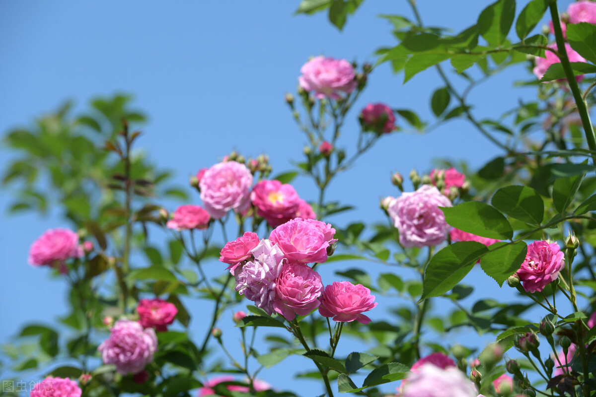 皮肤变好的习惯男生,皮肤变好的习惯
